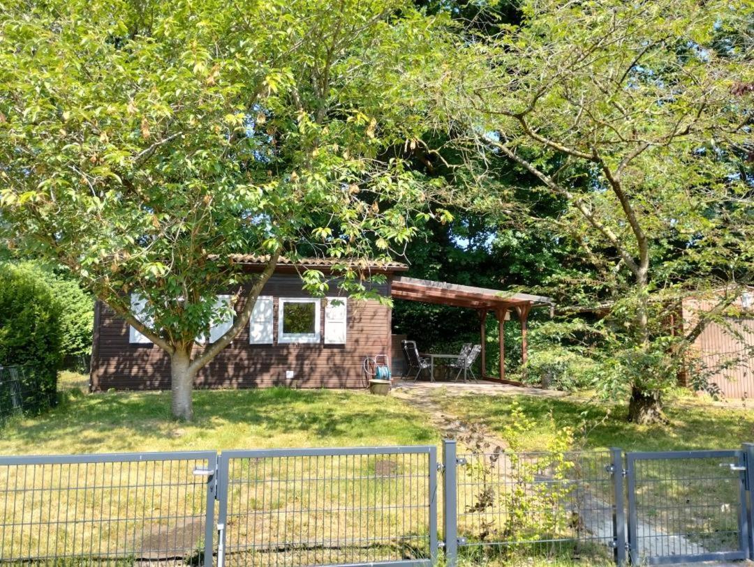 Neu! Sommerhaus Im Cuxland Hechthausen Екстер'єр фото